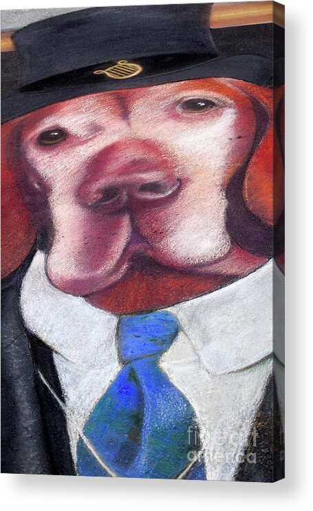 Dog Acrylic Print featuring the photograph Dog in Blue Tie by Anthony Totah
