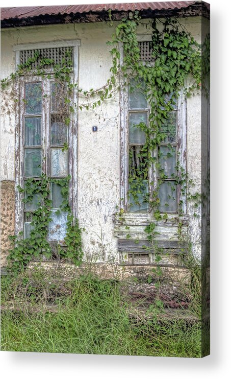 Old Doors Acrylic Print featuring the photograph Doors and Vines by Nadia Sanowar