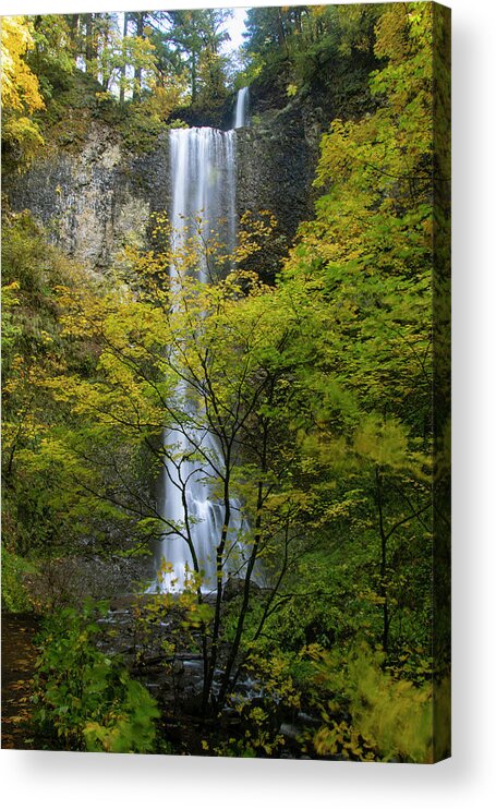 Double Acrylic Print featuring the photograph Double Falls in Autumn by Catherine Avilez