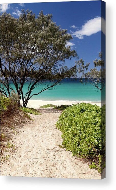 Down Acrylic Print featuring the photograph Down to the Beach by Nicholas Blackwell