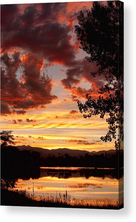 Gold Acrylic Print featuring the photograph Dramatic Sunset Reflection by James BO Insogna