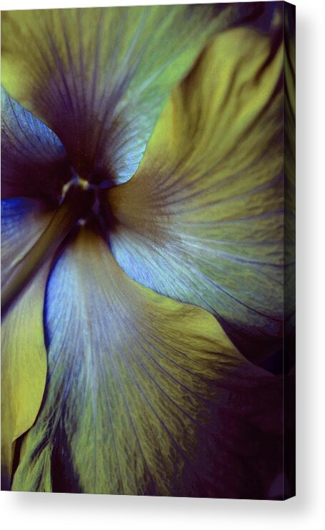  Acrylic Print featuring the photograph Dramatic by The Art Of Marilyn Ridoutt-Greene
