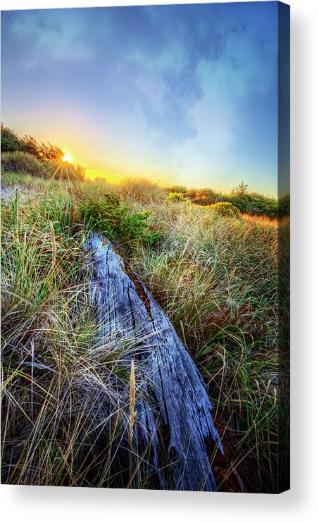 Clouds Acrylic Print featuring the photograph Driftwood at the Dunes by Debra and Dave Vanderlaan