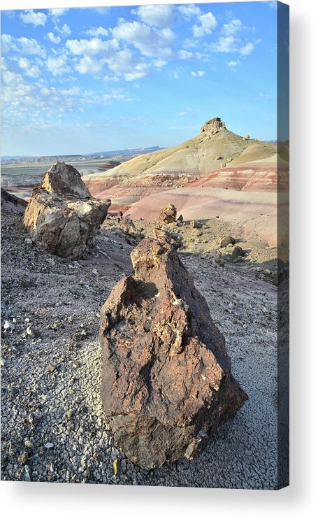 Capitol Reef National Park Acrylic Print featuring the photograph Dunes along Cathedral Valley Drive by Ray Mathis