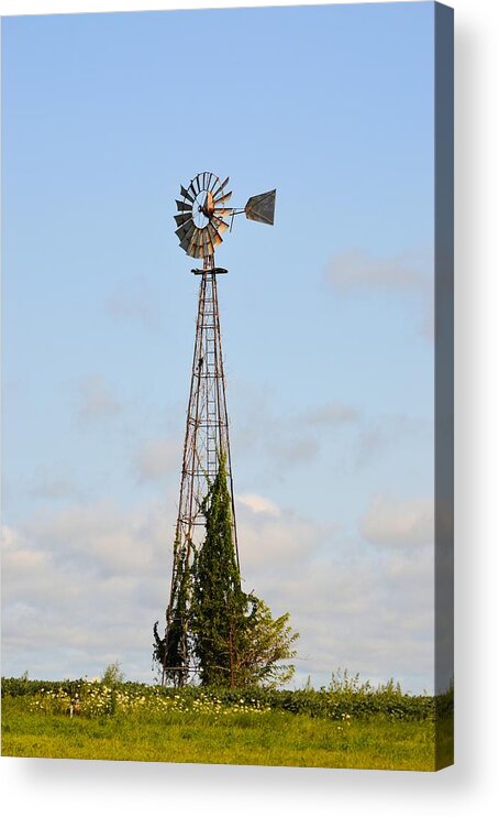 Windmill Acrylic Print featuring the photograph Eagle Windmill by Bonfire Photography