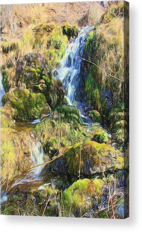 Spring Acrylic Print featuring the photograph Early Spring by Kathy Bassett