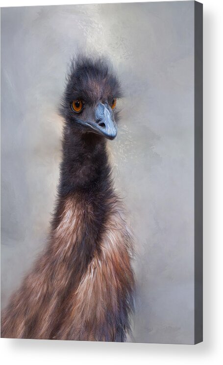 Emu Acrylic Print featuring the photograph Emu by Robin-Lee Vieira