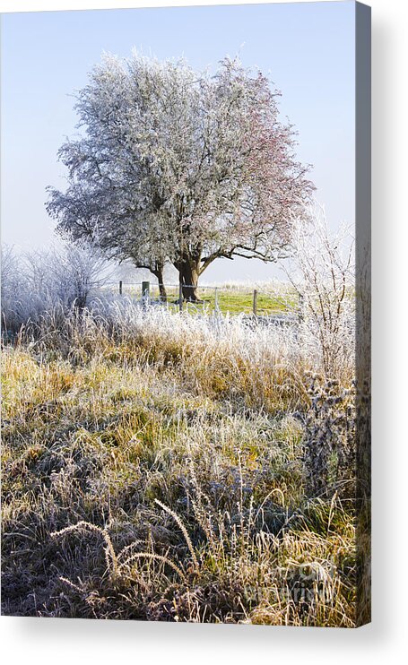 Amazing Acrylic Print featuring the photograph Enchanting snow covered landscape by Jorgo Photography