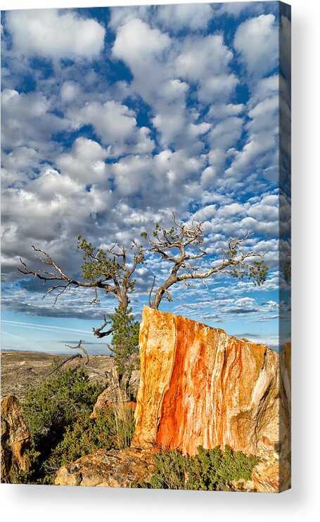 Castle Gardens Acrylic Print featuring the photograph Escarpment in the Badlands by Kathleen Bishop