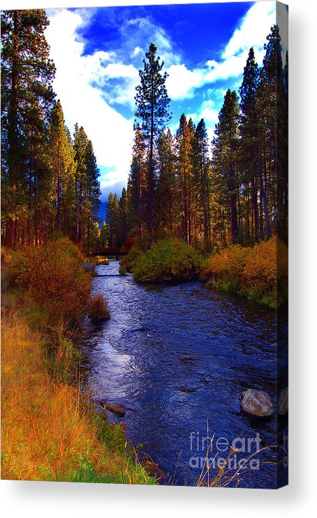 Diane Berry Acrylic Print featuring the photograph Evening Hatch on the Metolius River Photograph by Diane E Berry
