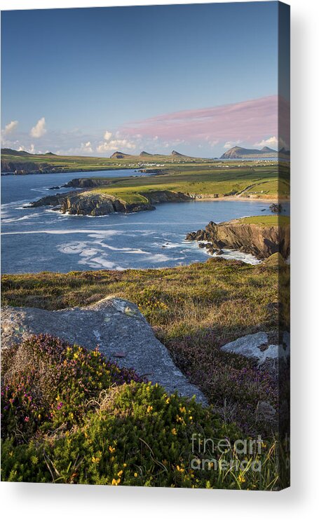 Ireland Acrylic Print featuring the photograph Evening over Dingle Peninsula II by Brian Jannsen