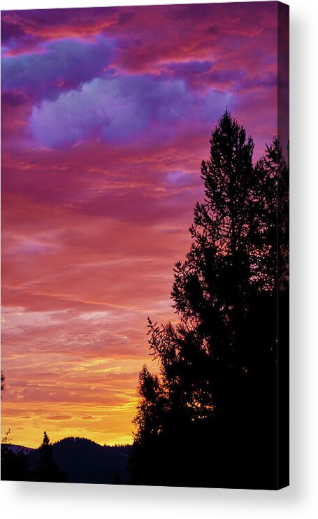 Sunrise Acrylic Print featuring the photograph Exploding Color by Loni Collins