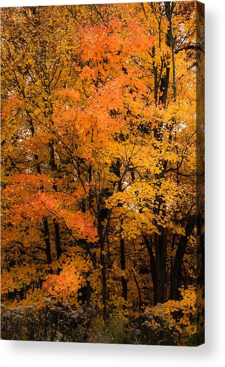 Illinois Acrylic Print featuring the photograph Fall at the End of the Day by Joni Eskridge