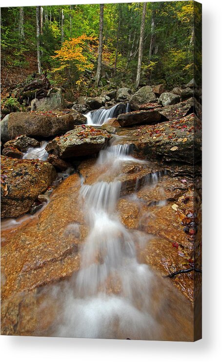 Cascade Brook Acrylic Print featuring the photograph Fall Foliage at Cascade Brook by Juergen Roth