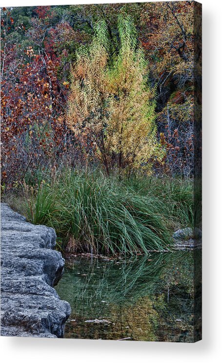 Landscape Acrylic Print featuring the photograph Fall Foliage Reflections at Lost Maples by James Woody