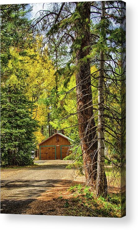 Fall Acrylic Print featuring the photograph Fall in the forest by Gaelyn Olmsted