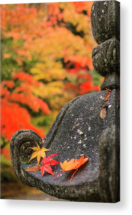 Seattle Japanese Garden Acrylic Print featuring the photograph Fall on the Lantern by Briand Sanderson