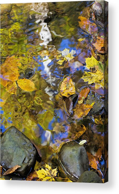 Reflection Acrylic Print featuring the photograph Fall Reflection by Deborah Penland