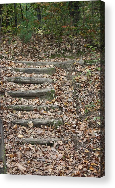  Acrylic Print featuring the photograph Fall Stairs by Stephen Orenstein