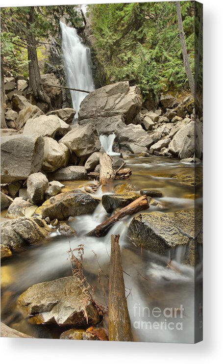Falls Creek Falls Acrylic Print featuring the photograph Falls Creek Falls Over The Logs by Adam Jewell