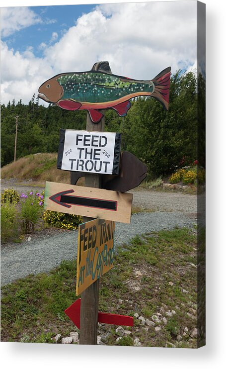 Photograph Acrylic Print featuring the photograph Feed the Trout by Suzanne Gaff