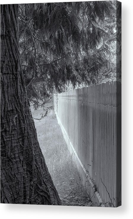 Oregon Coast Acrylic Print featuring the photograph Fence In Black And White by Tom Singleton