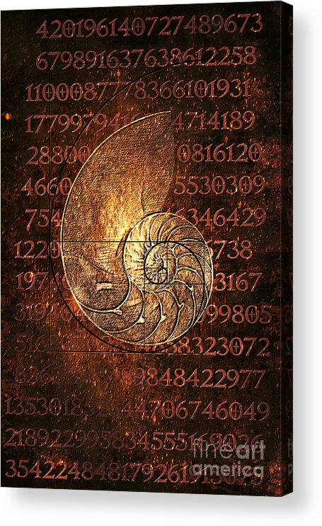 Fibonacci Acrylic Print featuring the digital art Fibonacci by Binka Kirova