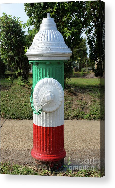 St. Louis Acrylic Print featuring the photograph Fire Hydrant on The Hill in St. Louis, Missouri by Adam Long