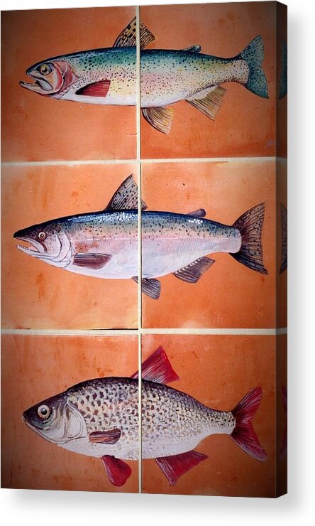 Fish Muralceramic Tile Acrylic Print featuring the ceramic art Fish Mural by Andrew Drozdowicz