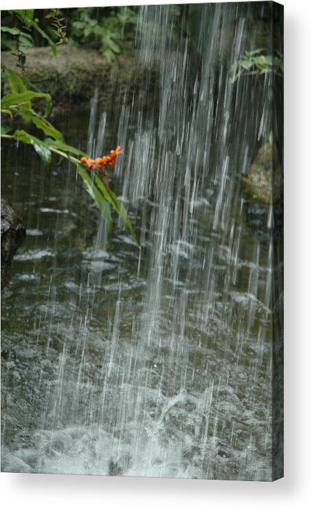Digital Flower Acrylic Print featuring the photograph Flower In The Falls by Kicking Bear Productions