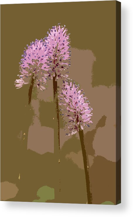 Impressionism Acrylic Print featuring the photograph Flower Spike Triad 6849 by Ginger Stein