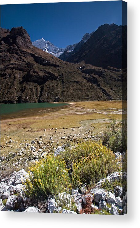 Andes Acrylic Print featuring the photograph Flowers and Mountain Lake in Santa Cruz Valley by Aivar Mikko