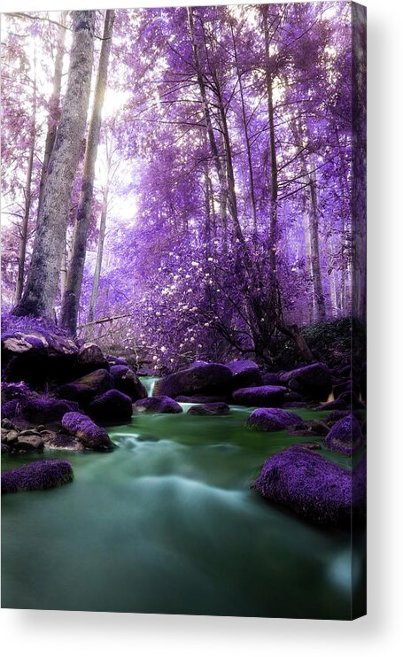 River Acrylic Print featuring the photograph Flowing Dreams by Mike Eingle