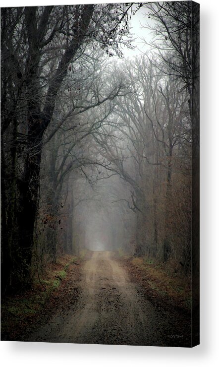 Fog Acrylic Print featuring the photograph Fog Shrouded Lane 7861 DP_2 by Steven Ward