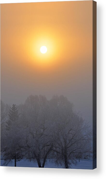 Montana Acrylic Print featuring the photograph Foggy Morning in Montana's Gallatin Valley by Bruce Gourley