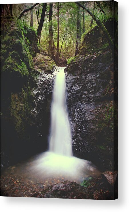 Mill Valley Acrylic Print featuring the photograph For All the Things I've Done by Laurie Search