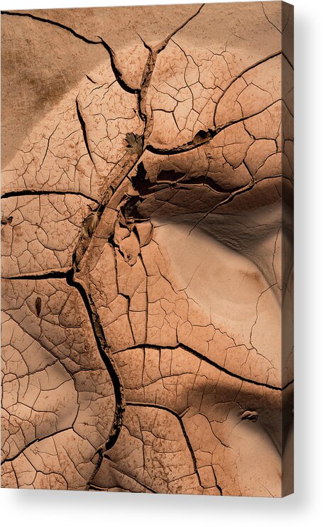 Mud Acrylic Print featuring the photograph For The Love Of Mud by Deborah Hughes