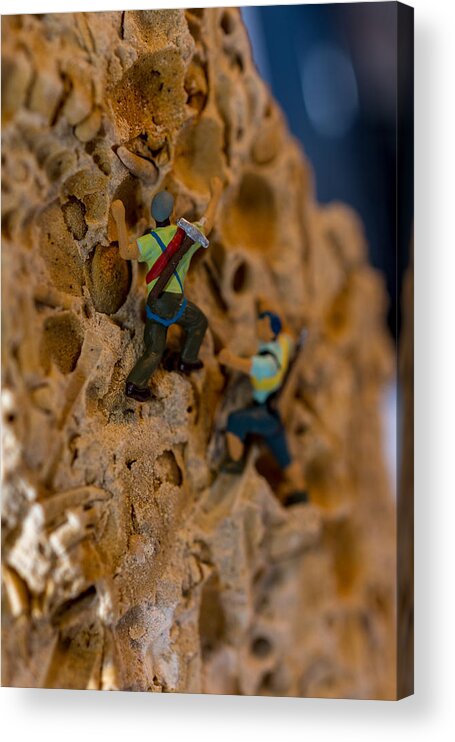 Macro Acrylic Print featuring the photograph Fossil Rock climbing by Rainer Kersten