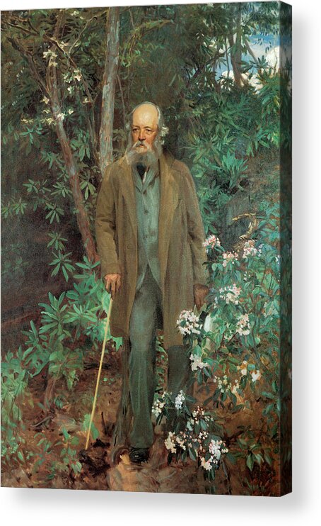 John Singer Sargent Acrylic Print featuring the photograph Fredrick Law Olmsted 1895 by John Singer Sargent