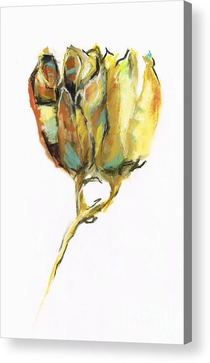 Fritillaria Acrylic Print featuring the painting Fritillaria by Frances Marino