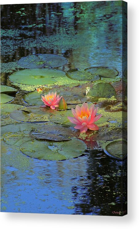 Pond Acrylic Print featuring the digital art Frog Creek by Kathy Besthorn