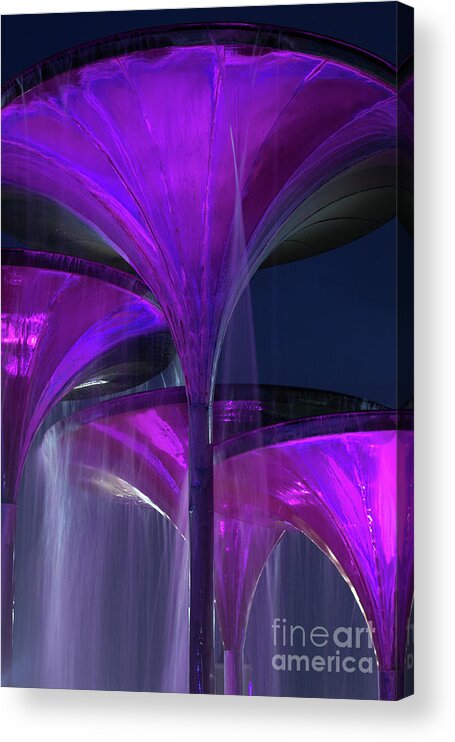 Texas Acrylic Print featuring the photograph Frog Fountain at Texas Christian University by Greg Kopriva