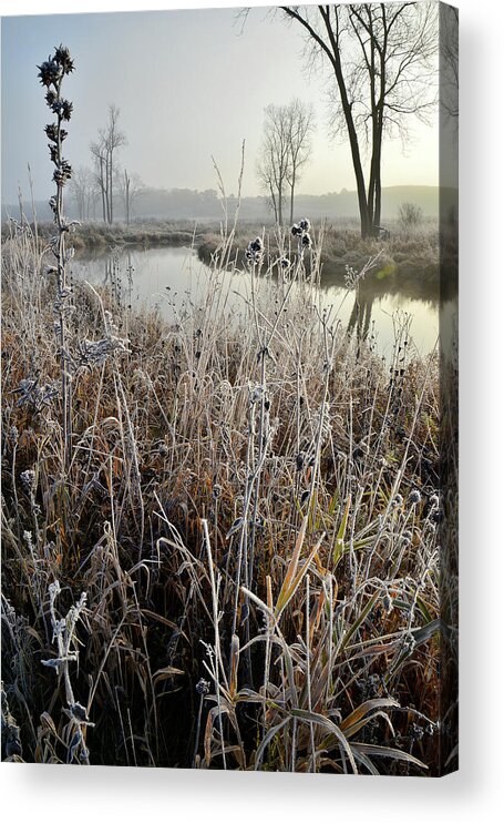 Glacial Park Acrylic Print featuring the photograph Frosty Big Bend in Nippersink Creek by Ray Mathis