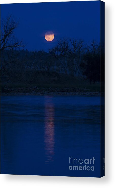 Landscape Acrylic Print featuring the photograph Full Moon Over the Tongue by Shevin Childers