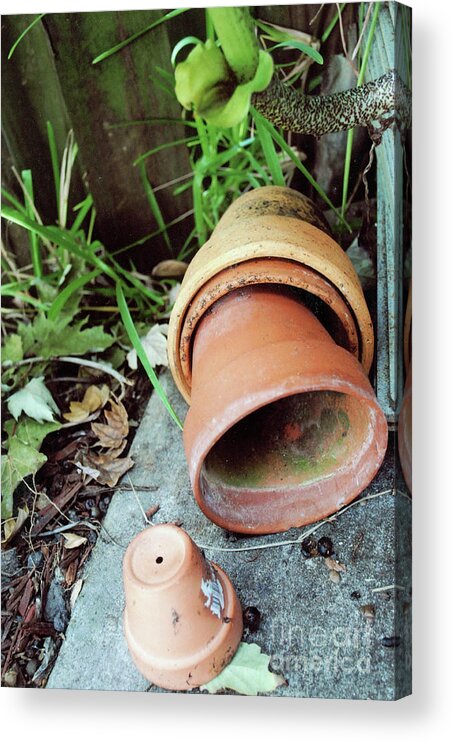 Clay Acrylic Print featuring the photograph Garden Clay Plant Pots by George D Gordon III