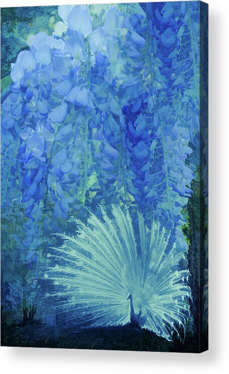 Appalachia Acrylic Print featuring the photograph Garden of Blues by Debra and Dave Vanderlaan