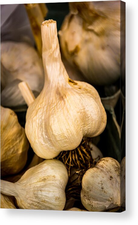 Jay Stockhaus Acrylic Print featuring the photograph Garlic by Jay Stockhaus
