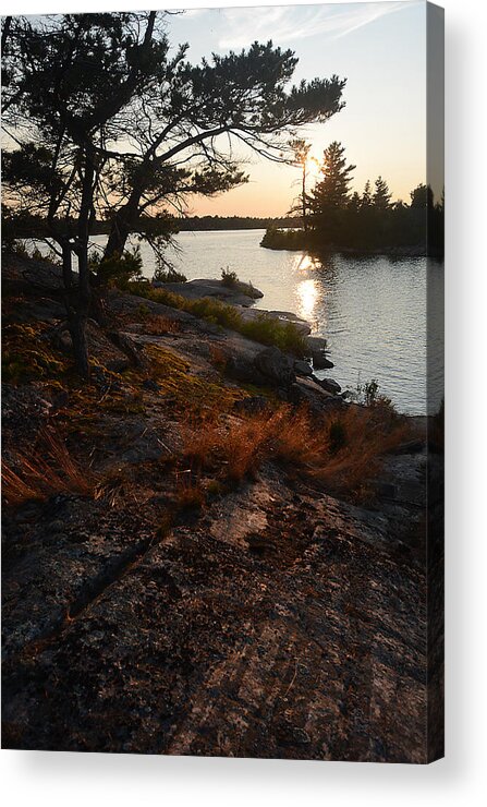 Sunrise Acrylic Print featuring the photograph Georgian Bay Rock-Wild Grass at Sunset by Steve Somerville