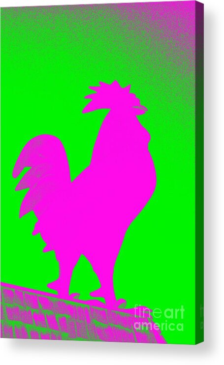 Tail Acrylic Print featuring the photograph Giant Rooster 2 by Leah McPhail