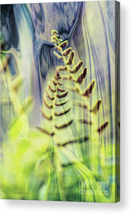 Catholic Acrylic Print featuring the digital art Glance by Jean OKeeffe Macro Abundance Art